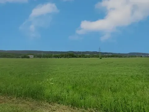 Prodej podílu komerčního pozemku, Rybník, 10974 m2