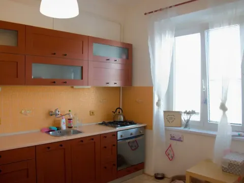 Pronájem bytu 1+1, Olomouc, Masarykova třída, 44 m2