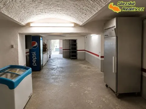 Pronájem skladu, Ostrava, 160 m2