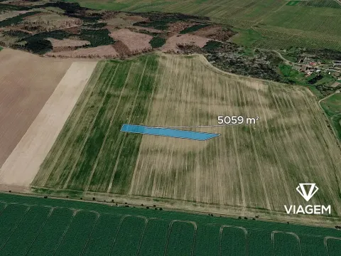 Prodej podílu pole, Stojice, 1264 m2