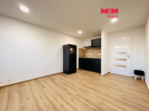 Pronájem bytu 1+kk, Ostrava - Moravská Ostrava, 30. dubna, 28 m2