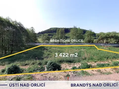 Prodej louky, Orlické Podhůří, 3422 m2