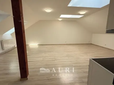 Pronájem bytu 1+kk, Rakovník, Havlíčkova, 58 m2