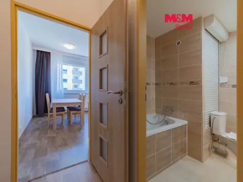 Pronájem bytu 1+1, Loket, Sportovní, 40 m2