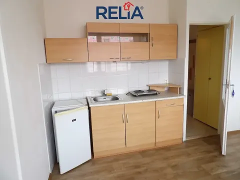 Pronájem bytu 1+kk, Liberec, Rychtářská, 21 m2
