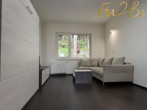 Pronájem bytu 1+kk, Ostrov - Horní Žďár, 28 m2