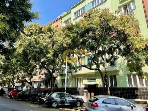 Pronájem bytu 1+kk, Praha - Žižkov, Přemyslovská, 26 m2