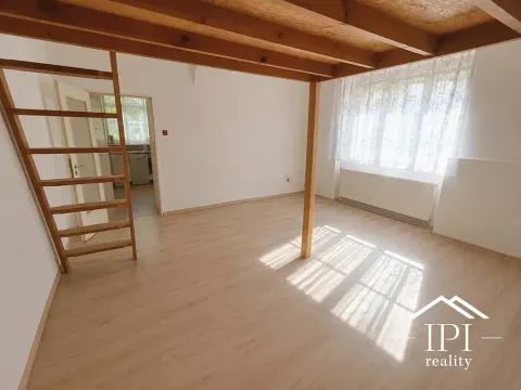 Pronájem bytu 1+1, Praha - Malá Strana, Říční, 47 m2
