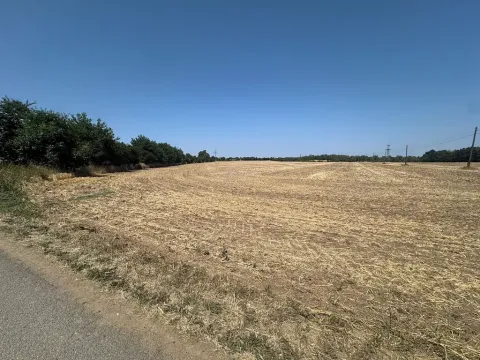 Prodej zahrady, Ořechov, 500 m2