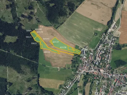 Prodej pole, Žďárná, 29881 m2