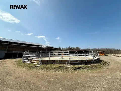 Prodej zemědělského objektu, Spálené Poříčí, 164000 m2