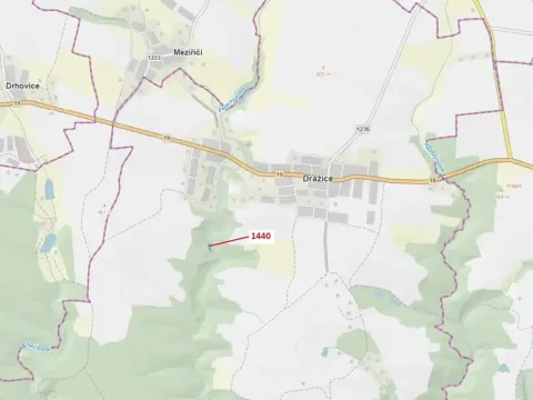 Dražba lesa, Dražice, 1097 m2
