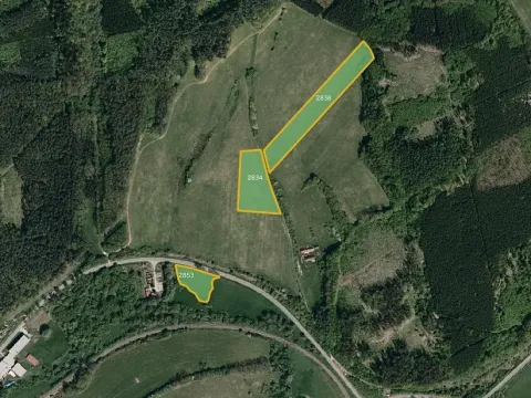 Prodej louky, Bohuslavice nad Vláří, 28829 m2