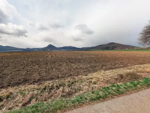 Prodej pole, Třebenice, 23953 m2