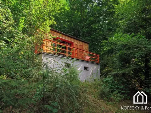 Prodej chaty, Stříbrná Skalice, 30 m2