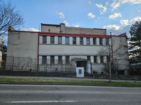 Dražba vily, Brno, Lipová, 696 m2