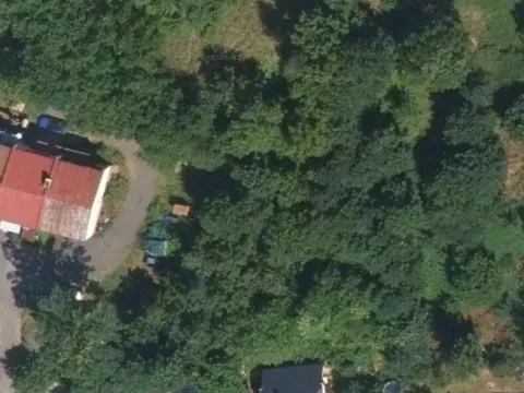 Dražba louky, Železný Brod, 377 m2