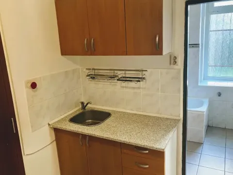 Pronájem bytu 1+kk, Brno, Husovická, 30 m2