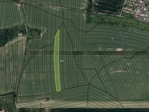 Prodej podílu pole, Osvětimany, 4330 m2