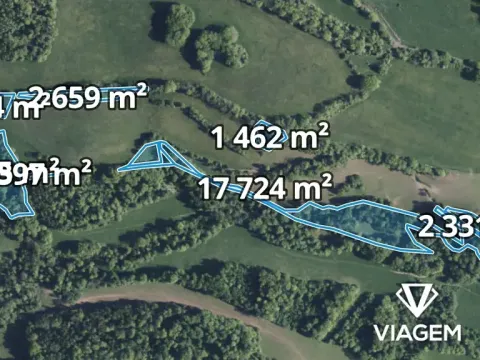 Prodej podílu lesa, Heřmanov, 12093 m2