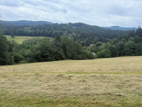 Prodej louky, Hamry, 84928 m2