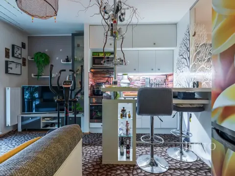 Prodej bytu 1+kk, Šakvice, Hlavní, 31 m2