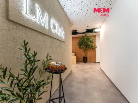 Pronájem komerční nemovitosti, Praha, Jihlavská, 25 m2