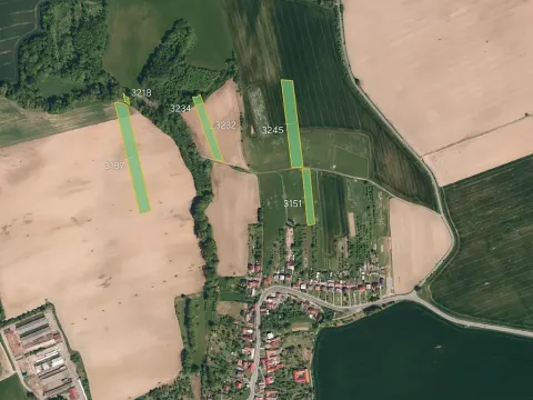Prodej pole, Osíčko, 7122 m2