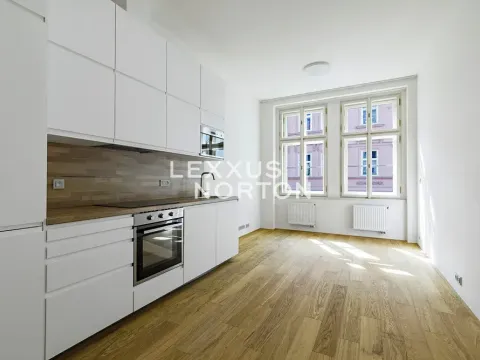 Pronájem bytu 2+kk, Praha - Žižkov, Bořivojova, 35 m2