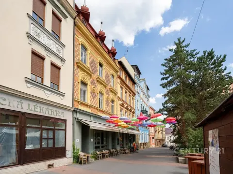 Pronájem činžovního domu, Děčín, Křížová, 80 m2