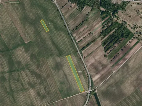 Prodej sadu/vinice, Kobylí, 23542 m2