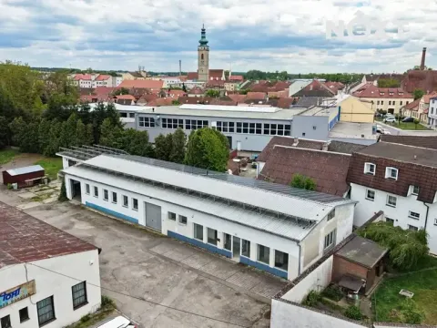 Prodej obchodního prostoru, Soběslav, Wilsonova, 490 m2