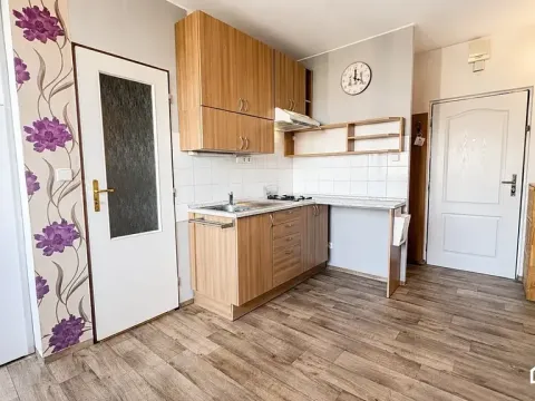 Pronájem bytu 1+1, Olomouc, Jílová, 32 m2