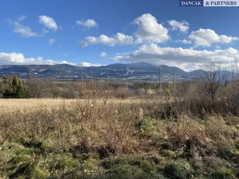 Prodej pozemku pro bydlení, Frýdlant nad Ostravicí, Havlíčkova, 6279 m2
