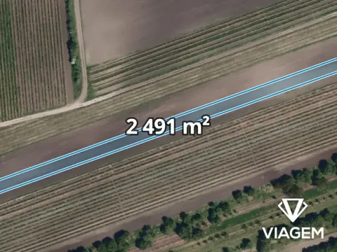 Prodej pole, Velké Pavlovice, 2491 m2