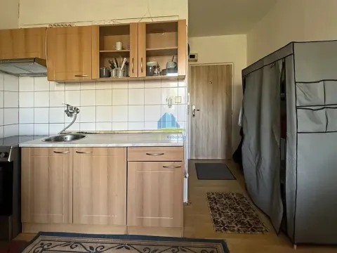 Prodej bytu 1+1, Plesná, Světlá, 35 m2