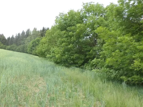 Prodej pozemku, Pohledy - Horní Hynčina, 1135 m2