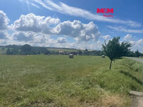 Prodej pozemku pro bydlení, Větřkovice, 4806 m2