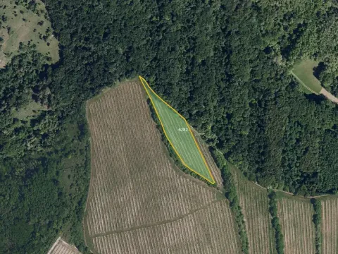 Prodej sadu/vinice, Kobylí, 6109 m2