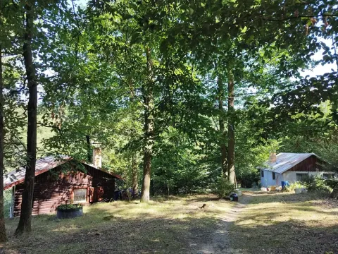 Prodej lesa, Petrov, 23078 m2