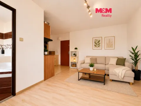 Pronájem bytu 1+kk, Ostrava - Moravská Ostrava, Petra Křičky, 28 m2