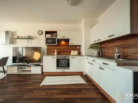 Prodej bytu 2+kk, Brno, Řípská, 52 m2