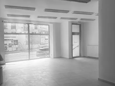 Pronájem obchodního prostoru, Brno - Zábrdovice, Cejl, 135 m2