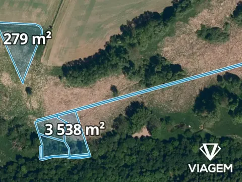 Prodej pole, Holasovice, 5311 m2