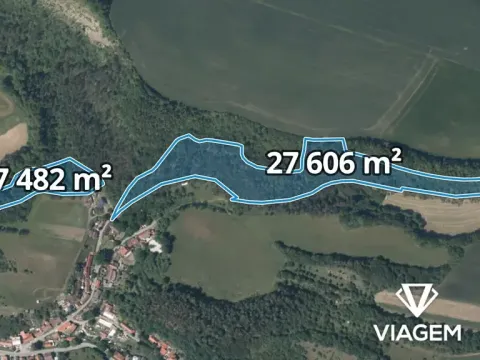 Prodej podílu lesa, Suchomasty, 4386 m2