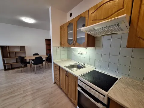 Pronájem bytu 1+kk, Brno, K Babě, 36 m2