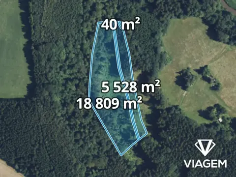 Prodej podílu lesa, Sudislav nad Orlicí, 21329 m2