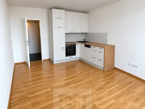 Pronájem bytu 1+kk, Kladno, Lesík, 30 m2