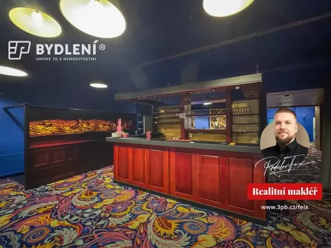 Pronájem restaurace, Teplice, Masarykova třída, 100 m2