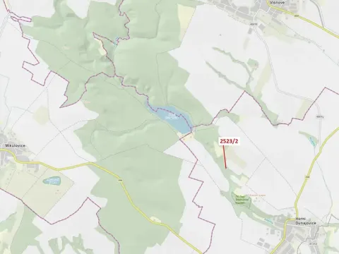 Dražba lesa, Horní Dunajovice, 406 m2